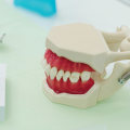 How Dental X-Rays Enhance Invisalign at Bastian Orthodontics